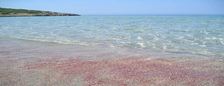 Affittacamere La Medusa Porto Pino Zewnętrze zdjęcie